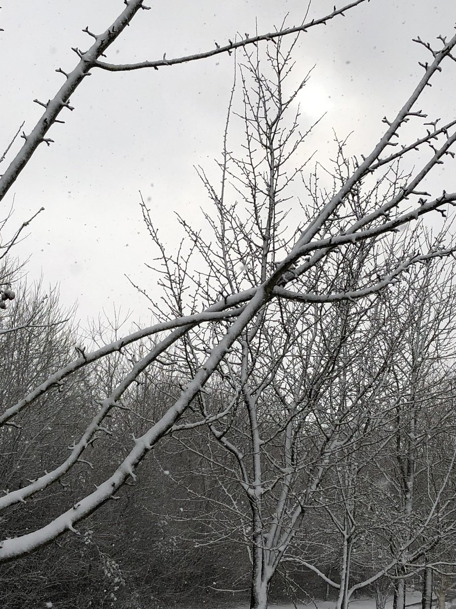 CarlosBolou's tweet photo. @Kent_Online @UniKent @UniKentGrounds https://t.co/eRqKOTkuNC
