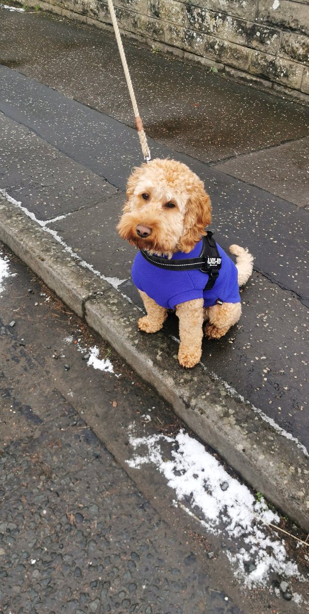 Clare_MacLeod tweet media