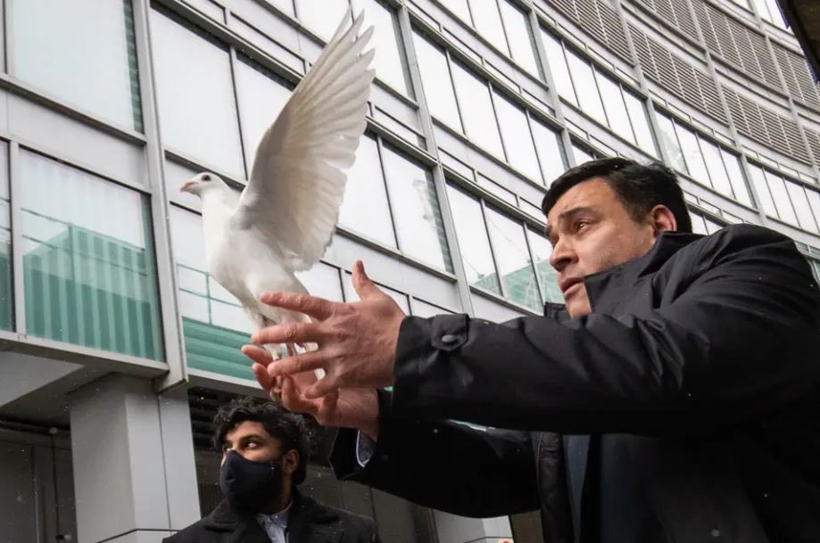 michael mchugh tweet media