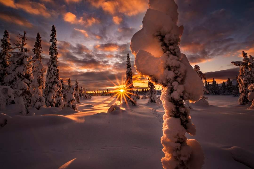 Winter Wonderland 😍 Photo Remi Aure Reksten #Norway #Scandinavia #sunset ❄️🌄