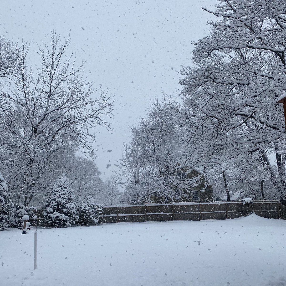 klang006's tweet photo. It’s just so pretty outside in the suburbs of Montgomery County Pa!!! ❄️⛄️😊 #snowisfalling #snowispretty #6abc #snowday @6abc @CecilyTynan @6abcadamjoseph @Jim_Gardner @chris_sowers @GrayHall6abc https://t.co/xB39xEbwYp