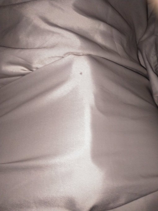 Something hiding under this 1,200 threadcount sheet... https://t.co/MlOAEHfptm<a href="/tag/mytwitteranniversary"class="tags"><span>#mytwitteranniversary</span></a>