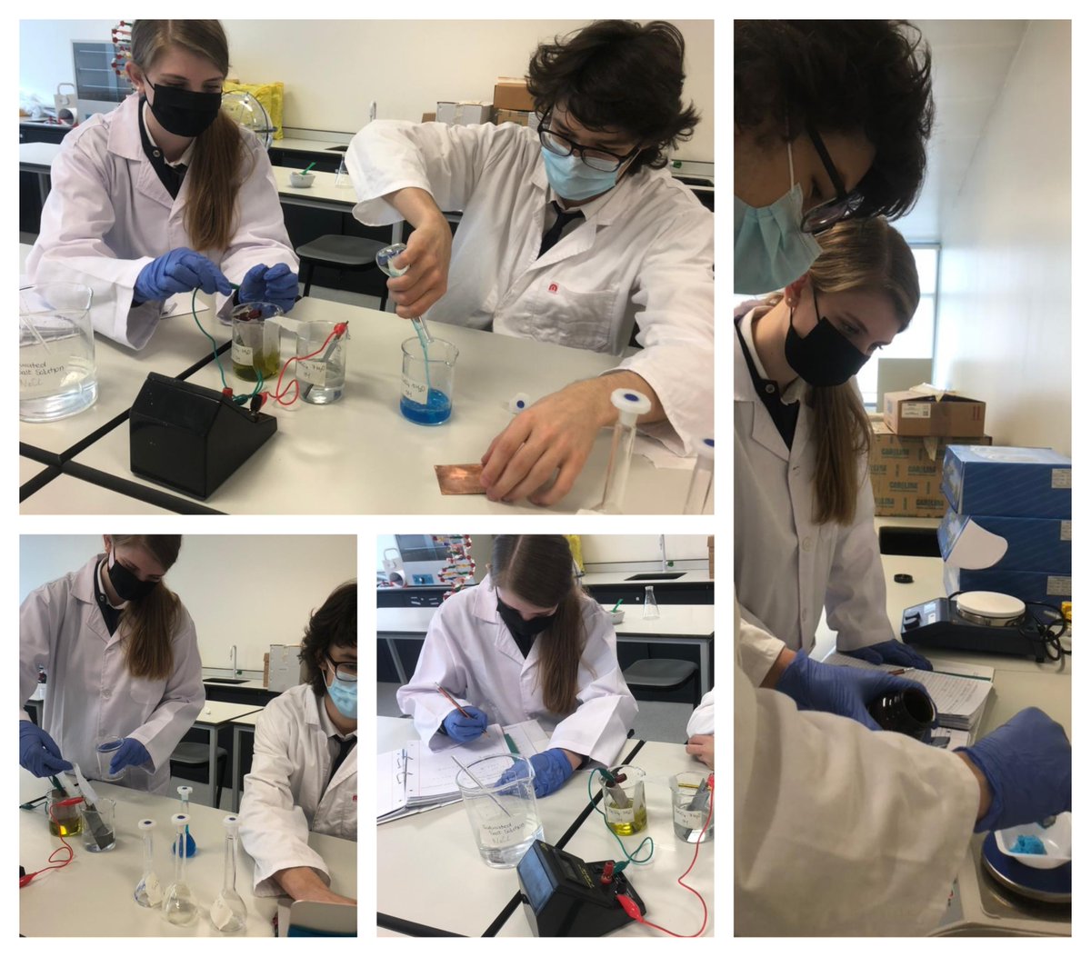 Hiba El Majzoub tweet media