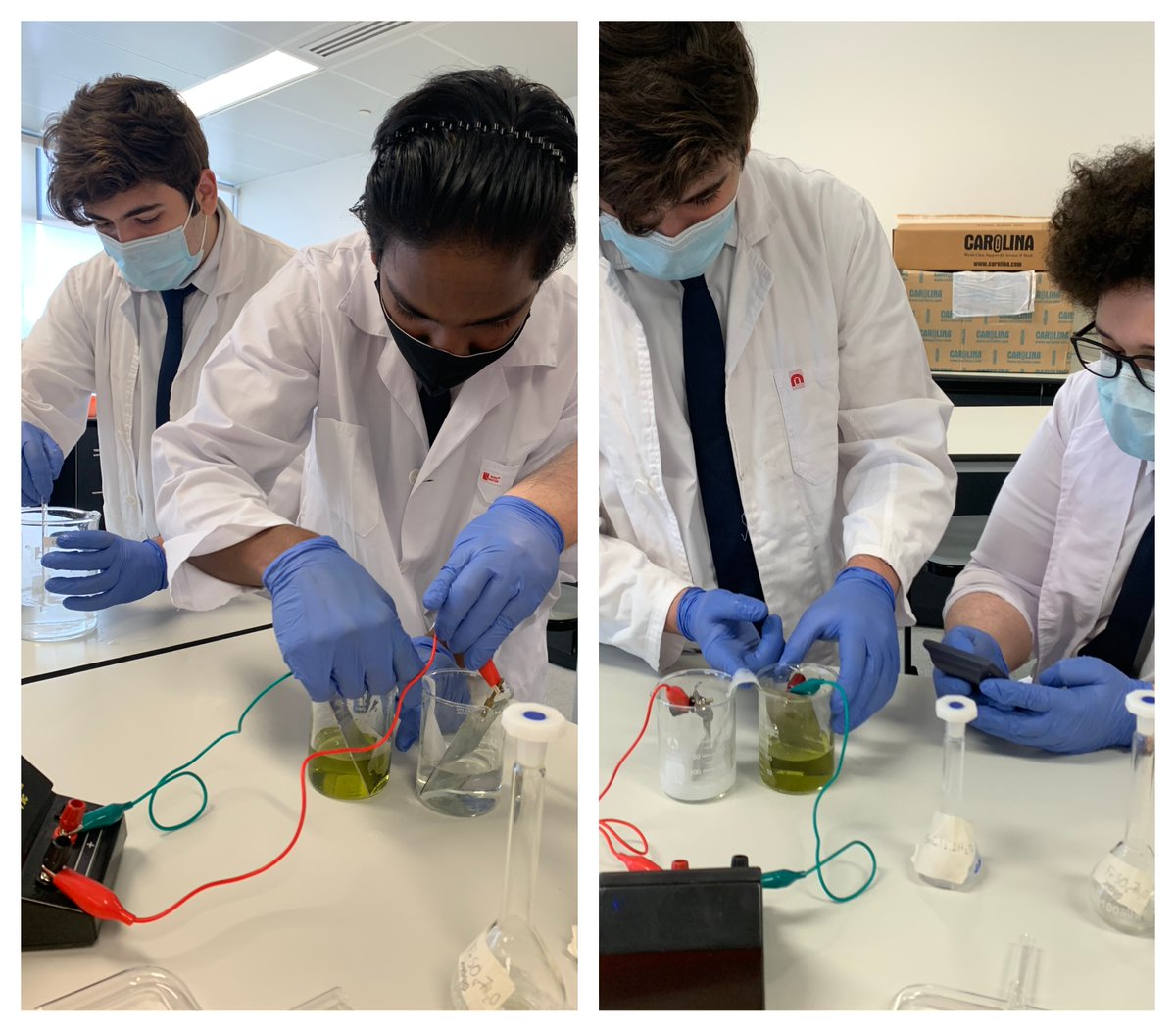 Hiba El Majzoub tweet media