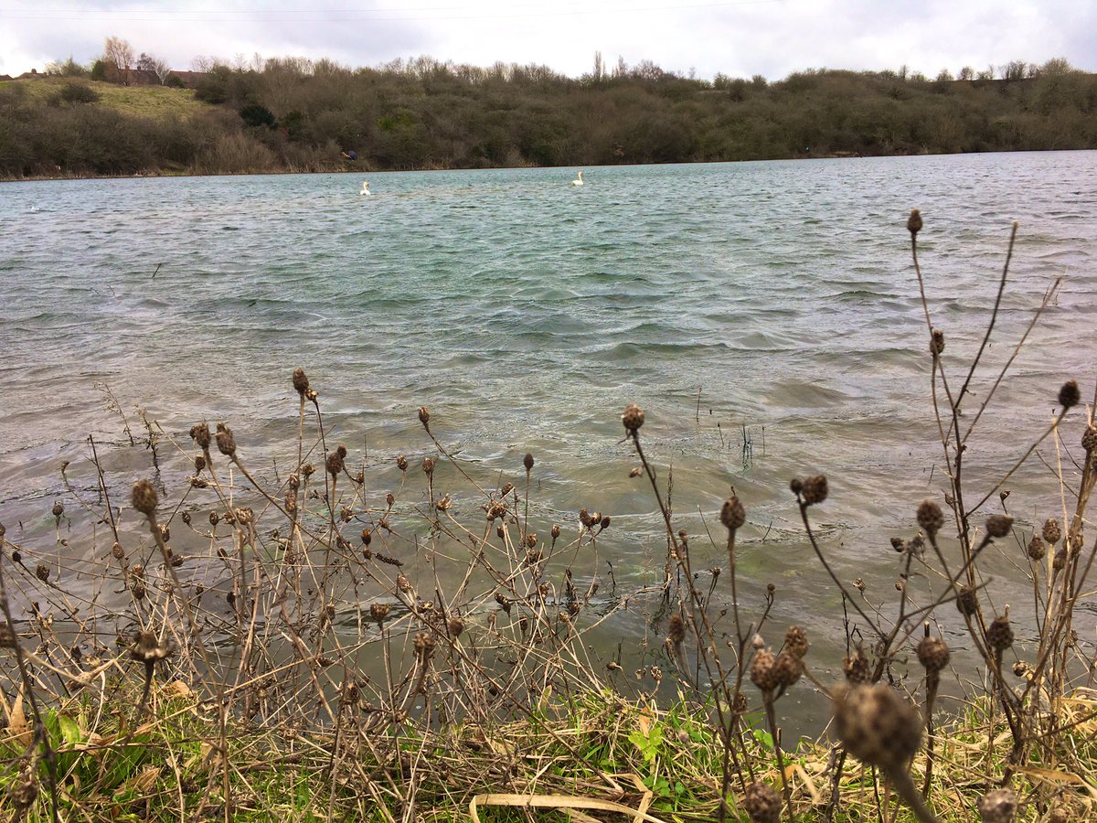 illdoitanyway's tweet photo. High winds & high water today at #Fenspool! ๐ฆข๐ https://t.co/VPezJL8GPx