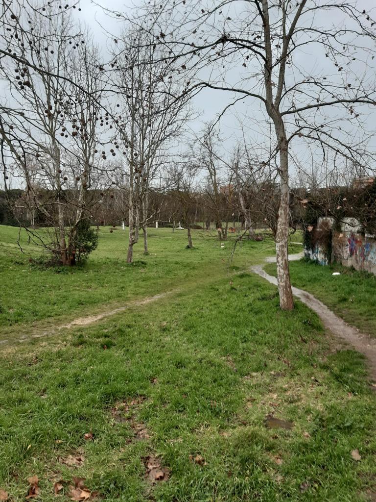 EnteRomaNatura's tweet photo. E se piove? Ci mettiamo lo stesso in cammino, e via si parte con i Guardiparco di RomaNatura anche in una giornata piovosa alla scoperta del Parco Regionale Urbano di #Aguzzano.☔️☔️☔️ https://t.co/eUtNjGYt9g
