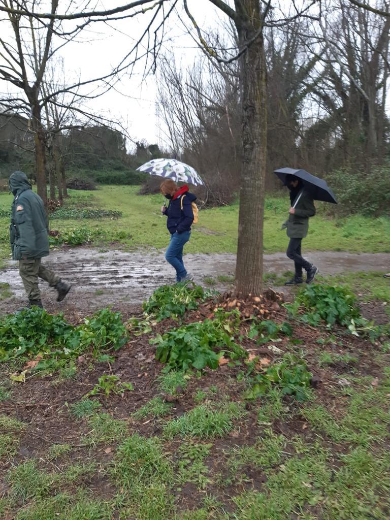 EnteRomaNatura's tweet photo. E se piove? Ci mettiamo lo stesso in cammino, e via si parte con i Guardiparco di RomaNatura anche in una giornata piovosa alla scoperta del Parco Regionale Urbano di #Aguzzano.☔️☔️☔️ https://t.co/eUtNjGYt9g