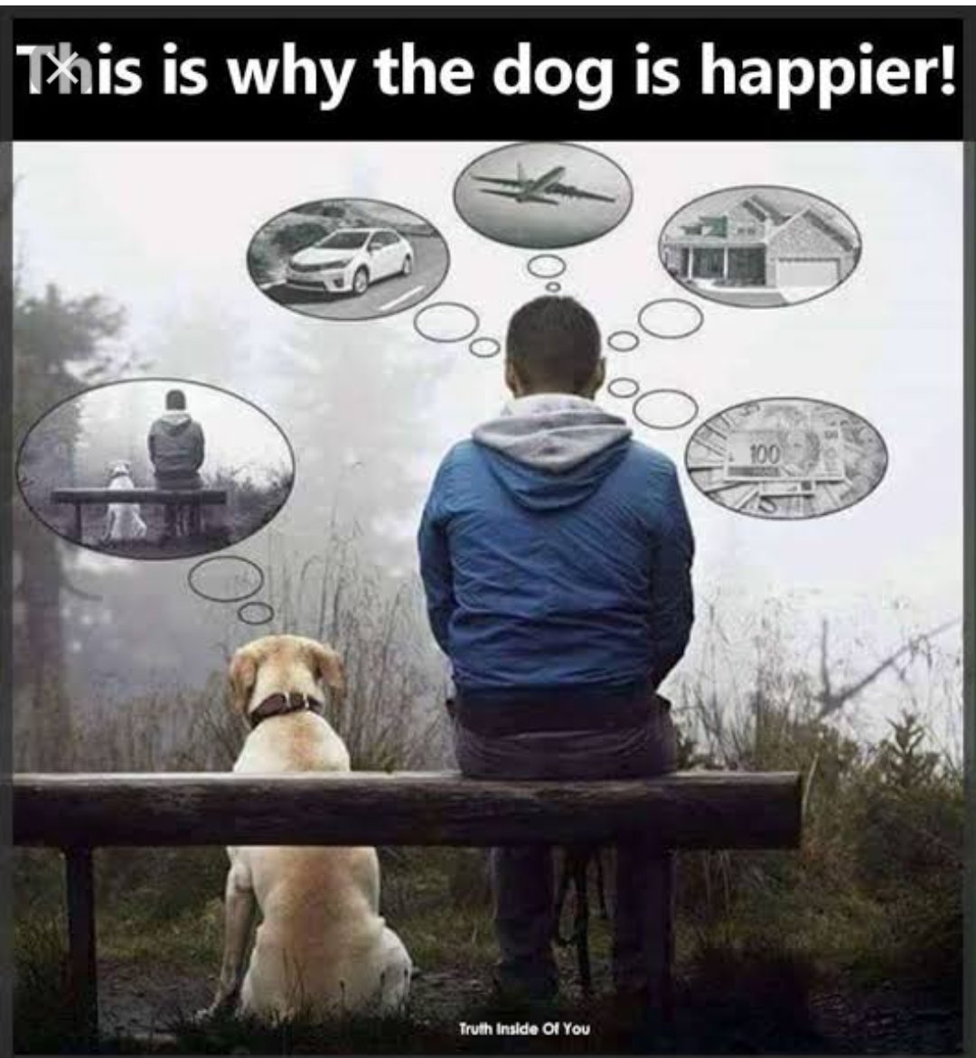 shivanand4ever's tweet photo. This is why the dog is happier... #Happy https://t.co/LpyfzsTvXK
