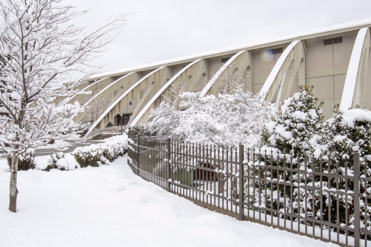 hokiesports's tweet photo. Another beautiful snowfall in Blacksburg 👌 https://t.co/jtfCFJgeIQ
