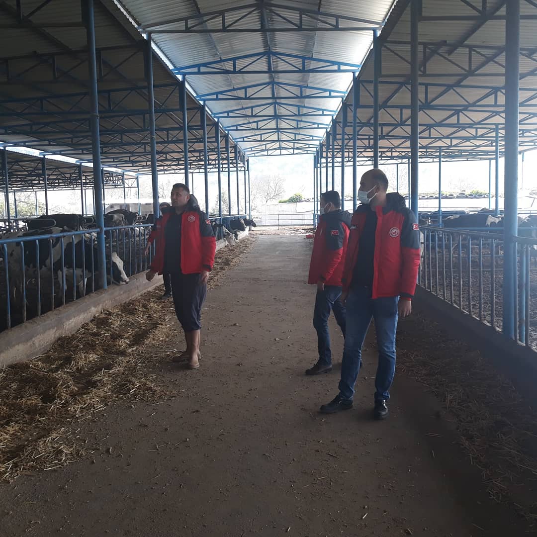 milastarim's tweet photo. Tarımda Üretim, Pandemiye Rağmen Aralıksız Olarak Devam Ediyor...
Üreticilerimize Valimiz Sayın Orhan TAVLI ve İl Müdürümüz Sayın Barış SAYLAK'ın iyi dileklerini ve selamlarını iletti.Sizler Ürettikçe Bizler Varolacağız
@barissaylak @MuglaTar @tcmuglavaliligi
#birliktebaşaracağız https://t.co/cdnNR5AW7a