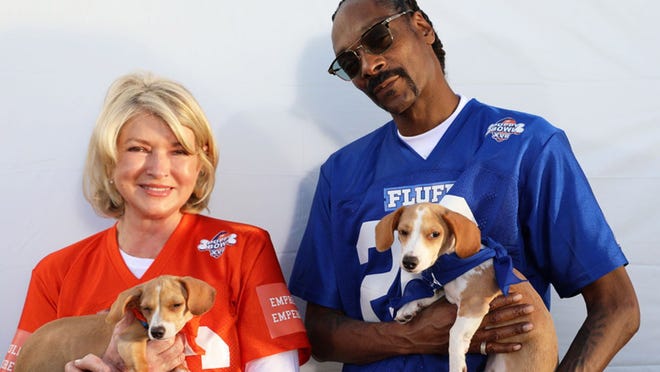 MarkHamill's tweet photo. It's just not #SuperBowlSunday without 1st watching the #PuppyBowl on @AnimalPlanet-TODAY 2pm/EST 11am/Pacific-Hosted this year by @MarthaStewart &amp; (who else?) @SnoopDogg-Special appearance by @FLOTUS Jill Biden along with First Dogs Champ &amp; Major🐾Don't miss this #BowWowRouser! https://t.co/fR7MRQphqZ