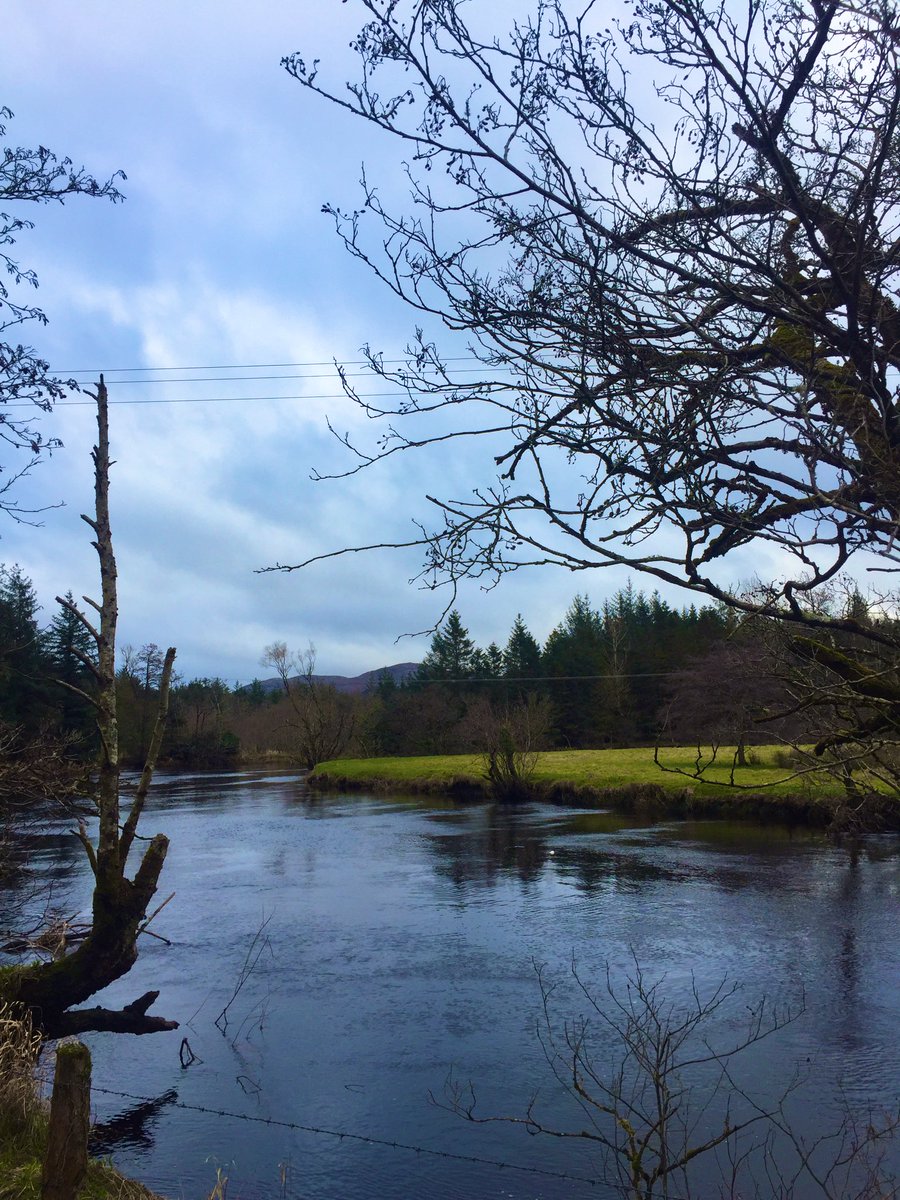 jackiemcguin's tweet photo. Day 38/ 769 of #100daysofwalking #800daysofwalking #GetMercyMoving #FeelGood5k Last day of week for counting the kms. Beautiful morning here, cool sunshine in #UnionWood https://t.co/61L13c6Hcb