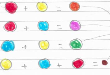 bellbirdprimary's tweet photo. Skylark and Goldfinch home learners have been exploring colour mixing this week using ice cubes.  The children observed what happened when their two primary coloured ice cubes melted and the colours mixed together in the water.  Brilliant art and science skills Year 2! https://t.co/AGW9SF4Bgv