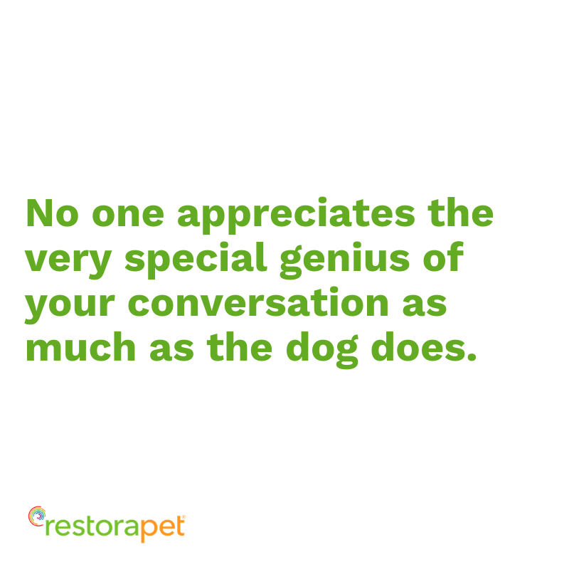 RestoraPet tweet media