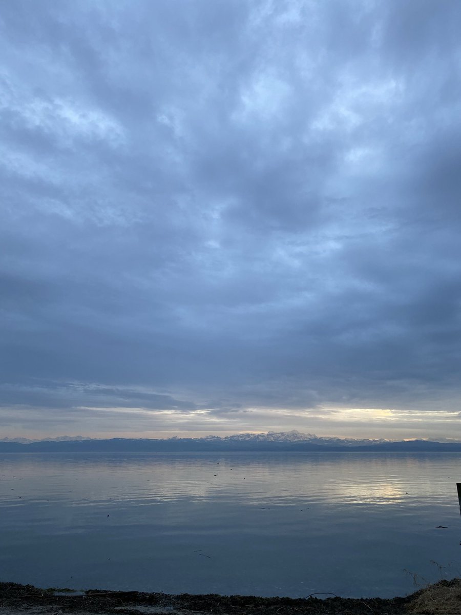 lottixsr_'s tweet image. weil es heute wieder regnet... hier alle shades of blue die der Bodensee am Freitag noch zu bieten hatte