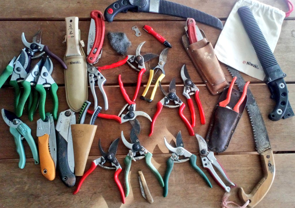 Simon Akeroyd (@simonakeroyd) on Twitter photo I made the mistake of mentioning to my wife that I might buy a new pair of secateurs.
So she has rounded up all the pairs she has found around the house.
And handed me some wire wool and a blade sharpener.
She's still finding them...😳
I'm not sure what her point is... I made the mistake of mentioning to my wife that I might buy a new pair of secateurs.
So she has rounded up all the pairs she has found around the house.
And handed me some wire wool and a blade sharpener.
She's still finding them...😳
I'm not sure what her point is...