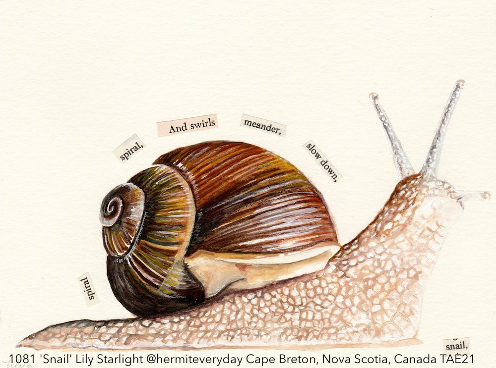 Love it!.... 'Snail' by Lily Starlight @hermiteveryday Cape Breton, Nova Scotia, Canada.

Thank you very much Lily for donating your fab art to #TAE21 and helping <a href="/L_I_N_C/">Ringo Mtisi</a> support patients with Leukaemia.

#ARTfundraiser #Artonpostcards #Leukaemia #CheltenhamArt