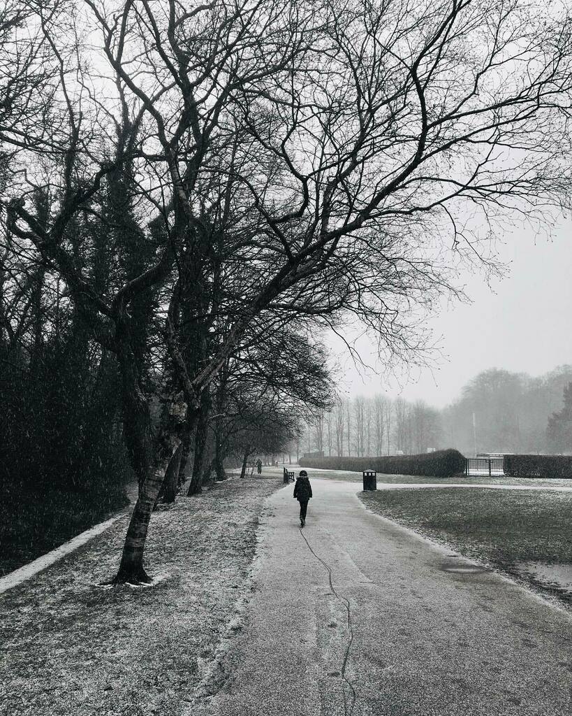 A cold walk in our local park today. 
.
.
#millhousespark #sheffield #sheffieldphotographer #sheffieldbloggers #sheffieldpark #sheffieldcity #getoutside #getoutdoors #lockdown2021 #cold #blackandwhitephotography #snapandsaunter