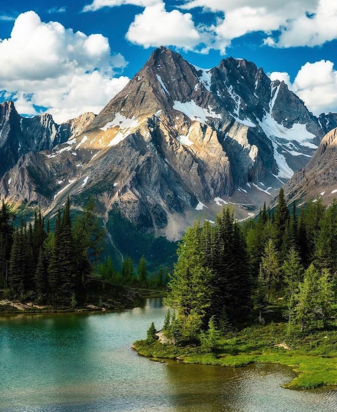 The Nature on Twitter "https//t.co/ryBP4OdZxu" / Twitter