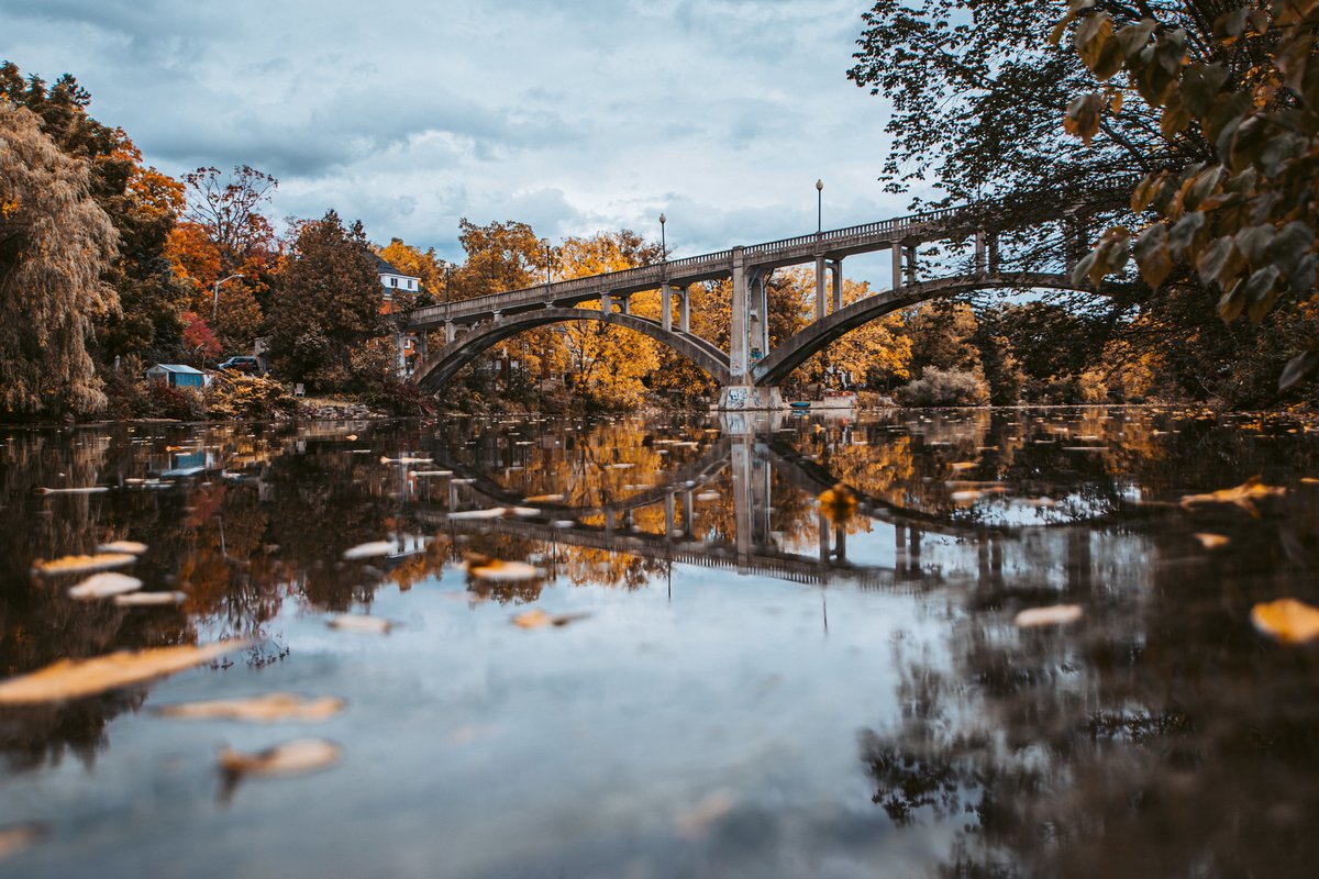 macroguelph's tweet photo. #Guelph is trending because it's obviously awesome and beautiful. https://t.co/7uazDg5vDJ