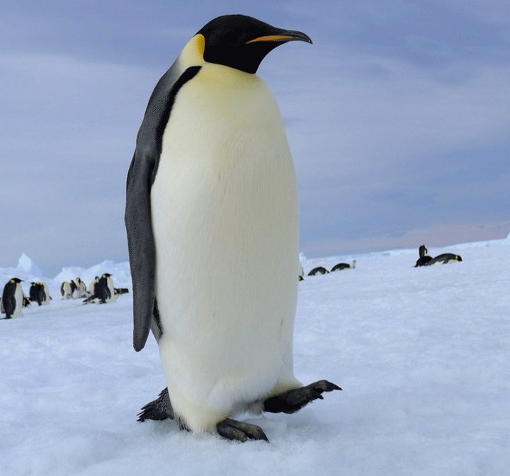 ⋆⁺🍆₊⋆ tweet media