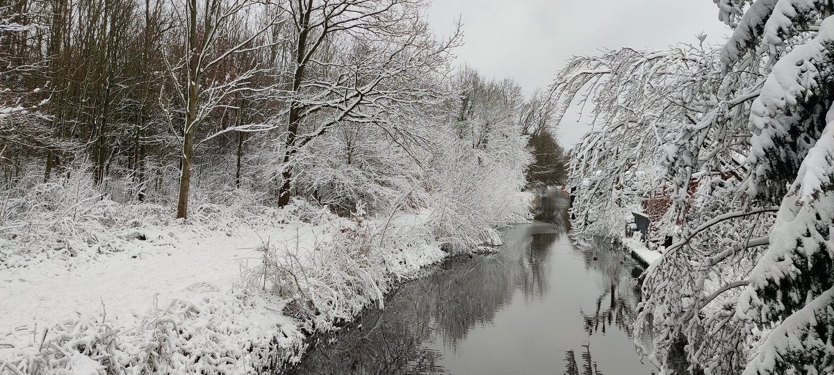 Ramoninhetveld's tweet photo. Eventjes een lange wandeling gemaakt. Heerlijk! #Breda #HaagseBeemden https://t.co/8lvLerzugJ