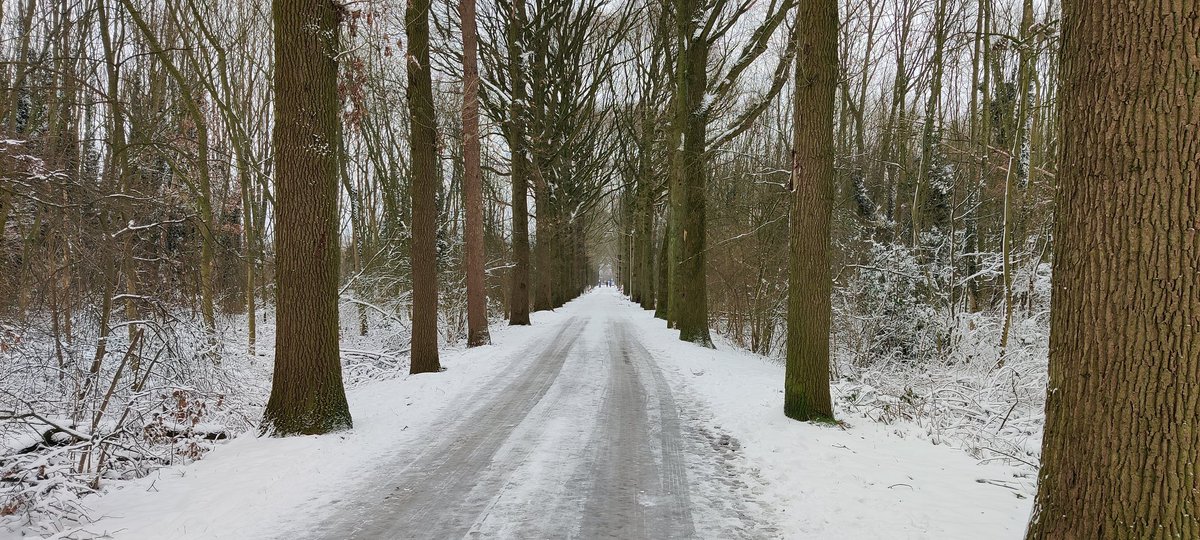 Ramoninhetveld's tweet photo. Eventjes een lange wandeling gemaakt. Heerlijk! #Breda #HaagseBeemden https://t.co/8lvLerzugJ