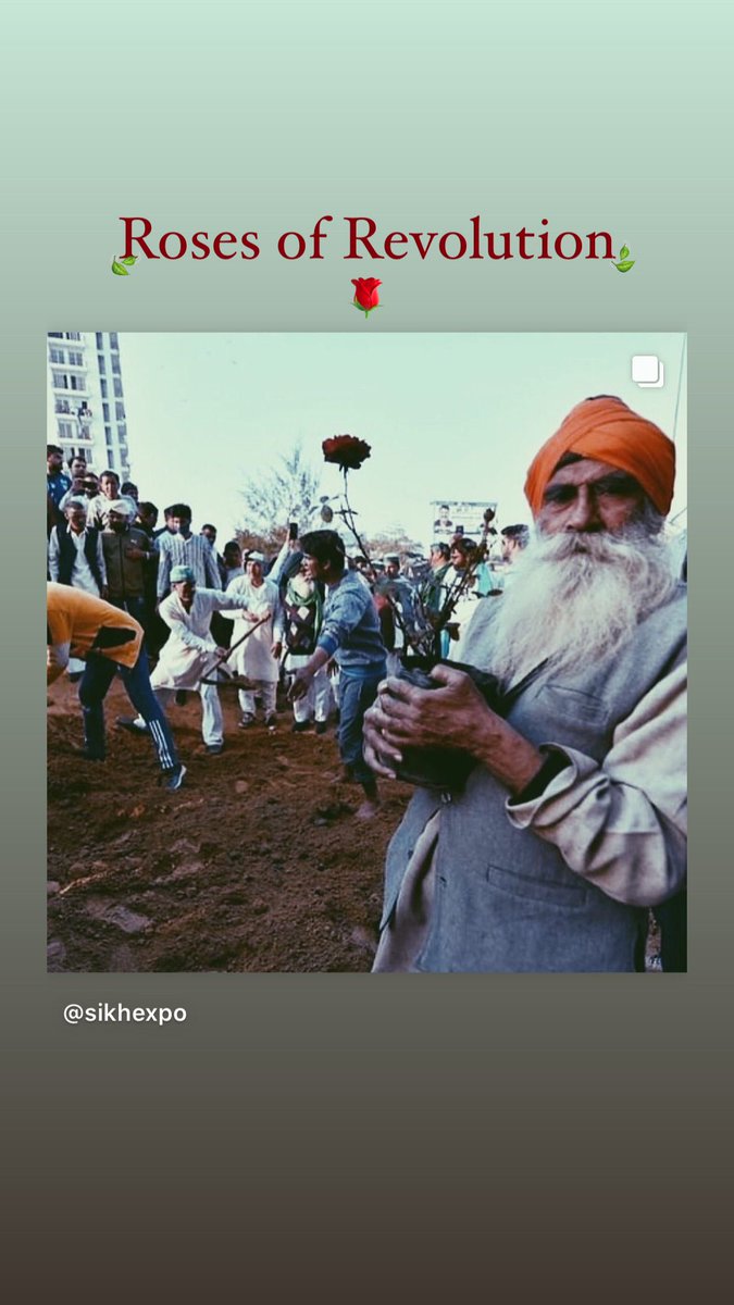 thisischeema's tweet photo. Roses of Revolution 🌹 #FarmersProtests #KisaanMajdoorEktaZindabad ✊🏻 https://t.co/J0dMIkYpaH