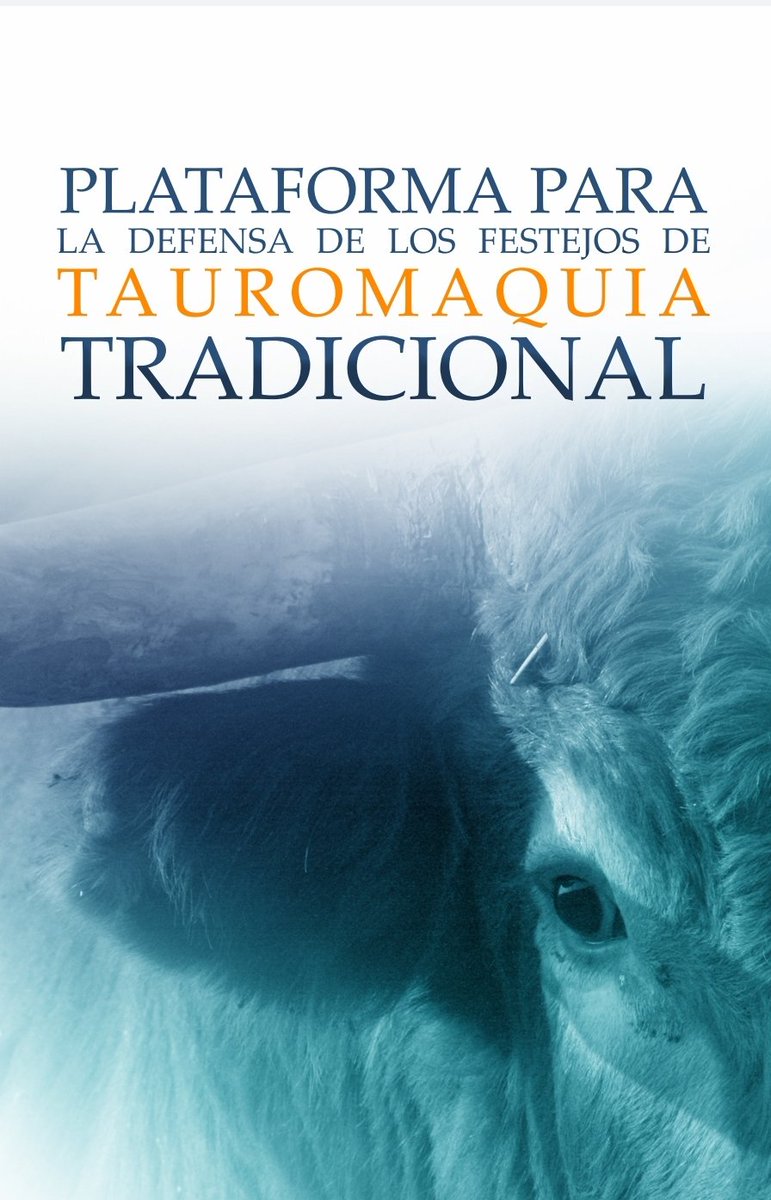 P. Festejo Tradicional Popular tweet media