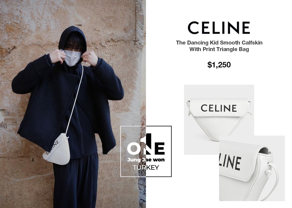 celine triangle bag