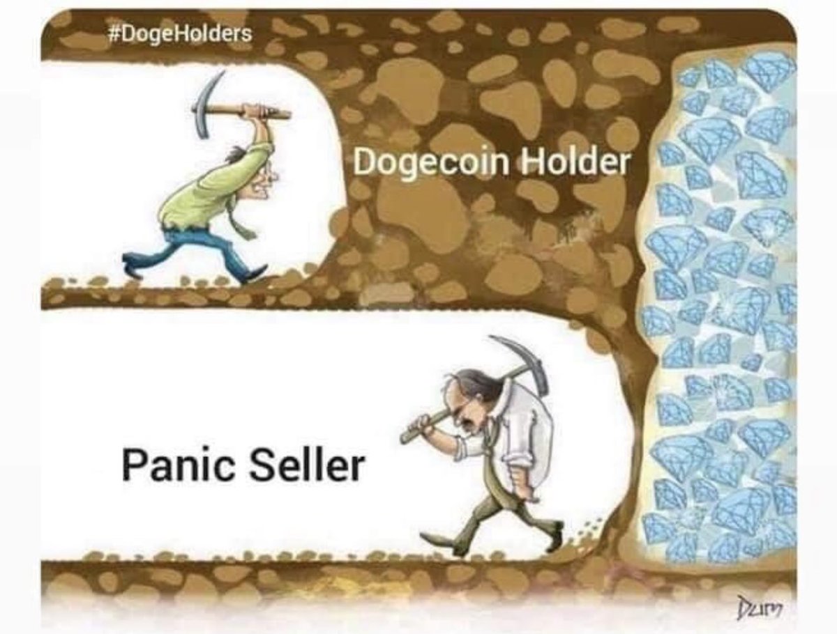 Sebibbc's tweet image. 