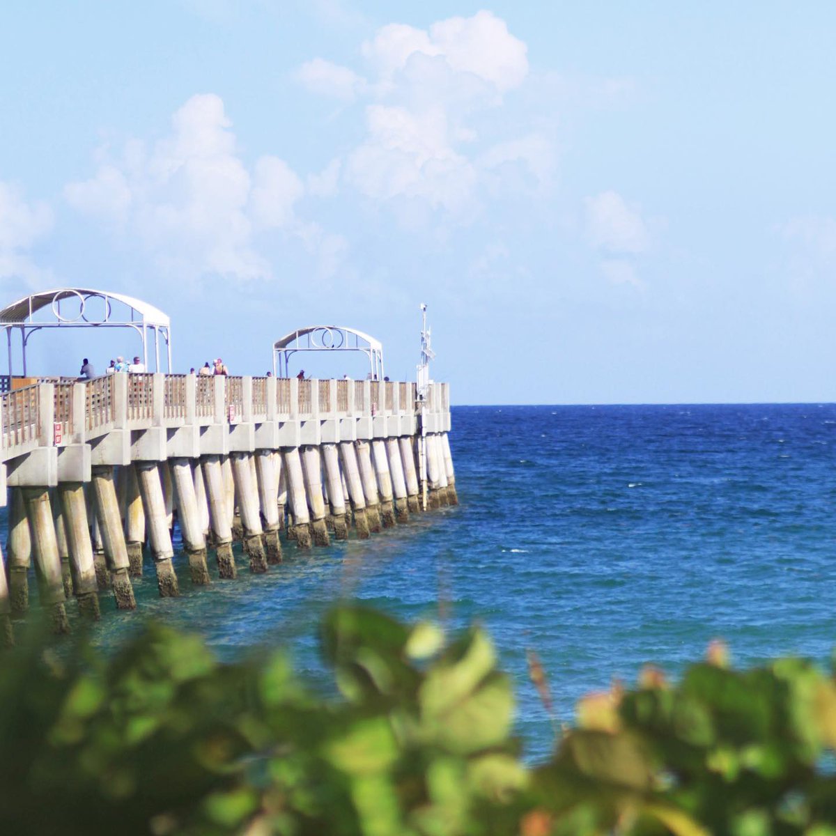 ColonyReserve's tweet image. Located just minutes from beautiful, pristine #beaches, take a relaxing Sunday stroll and enjoy all gorgeous Lake Worth views! 
(photo via @itspiperjones)