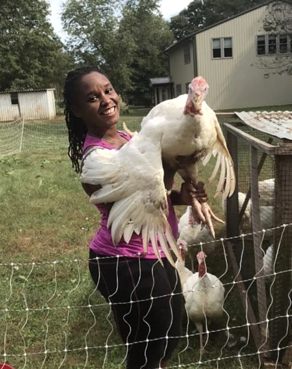 Newsela's tweet image. Teach your students about the contributions of Black women homesteaders, who are reclaiming land and their health in the process.

📖 Read: newse.la/3r4gNml

🗣️ Discuss: How does homesteading represent liberation for Black Americans then and now?

#blackhistoryisourhistory