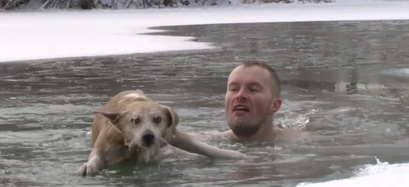 сон тонущая собака