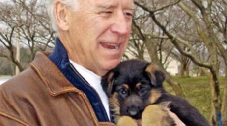 The Oval Pawffice® 🇺🇸 DOTUS Fans tweet media