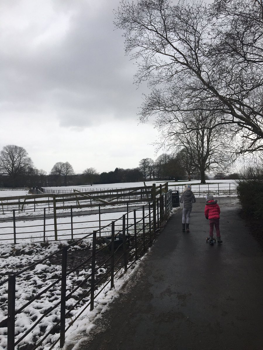 PaxmanJenny's tweet photo. It’s a wonderful constant that home always feels a little cosier when we’ve made it out for a really chilly winter walk ❄️❄️❄️@runningSHUs here’s another contribution. A snowy walk/scoot en famille #runningSHUs @shu_fans @HallamFood #ThawingOut https://t.co/mfJphhw6mW