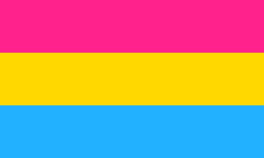 here is the pan flag incase you’re unfamiliar with it. remember these colors: pink, yellow, and blue