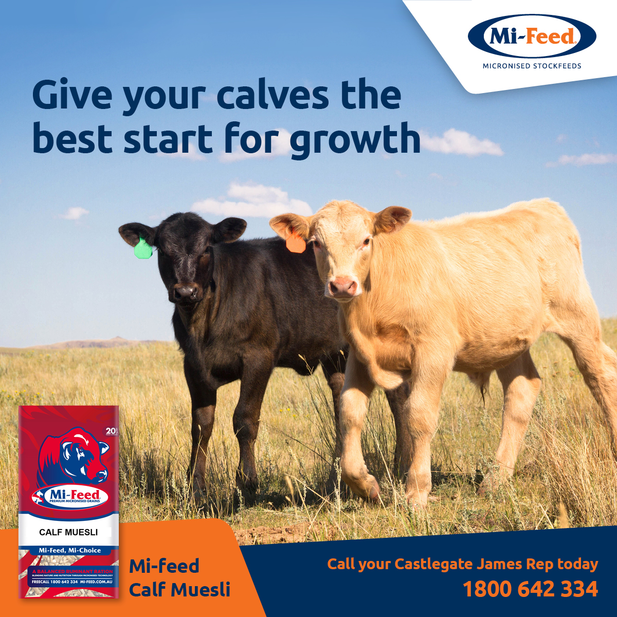 Take advantage of strong beef market and get teh most from your stock. #Beef #Calving #highprotein #highenergy
MAXIMISE 2021 HERD PRODUCTIVITY &amp; PERFORMANCE  
Ready to talk deals on 20kg, 1Tonne bulk bags and bulk trucks. 
CALL 1300642334 today.