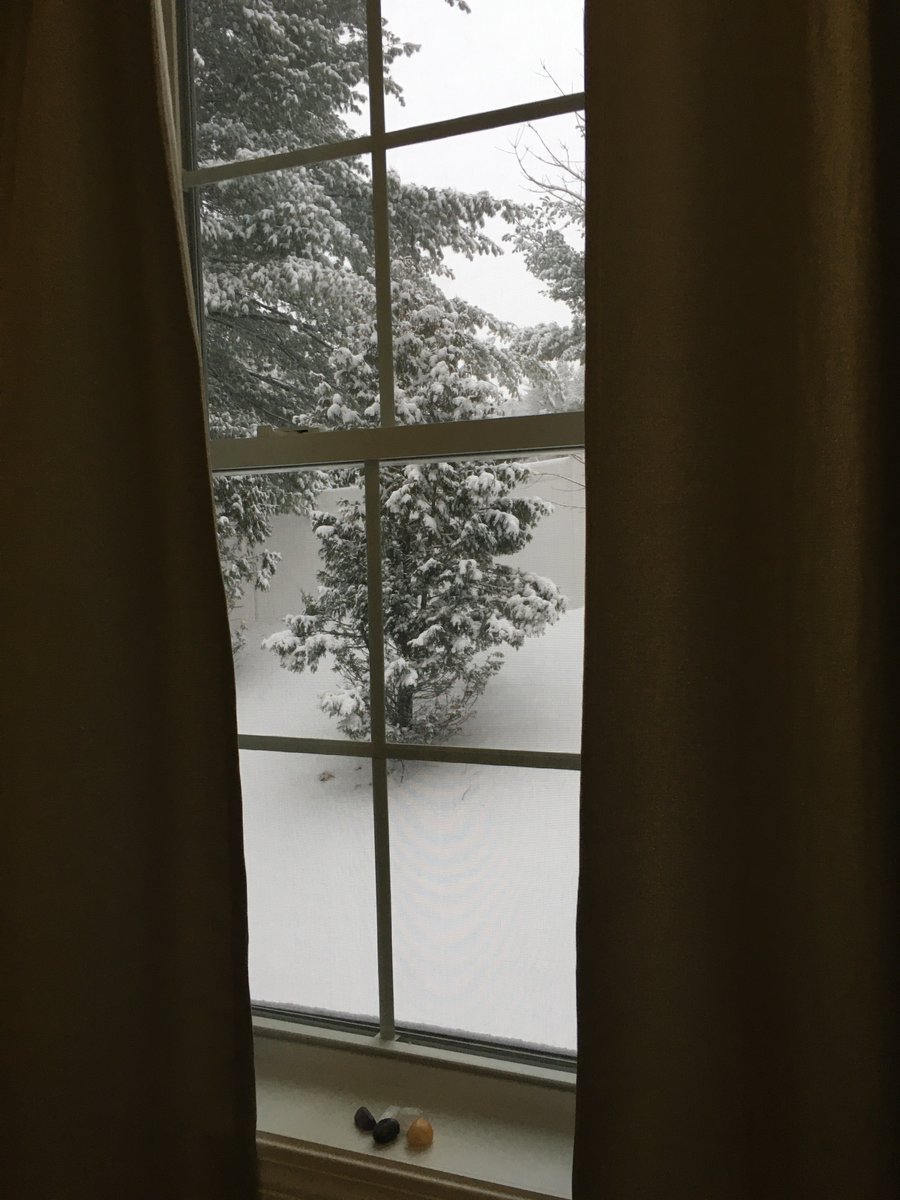 RobinStoneBooks's tweet photo. It's snowing here... #SnowDay https://t.co/UydCoA9CK1