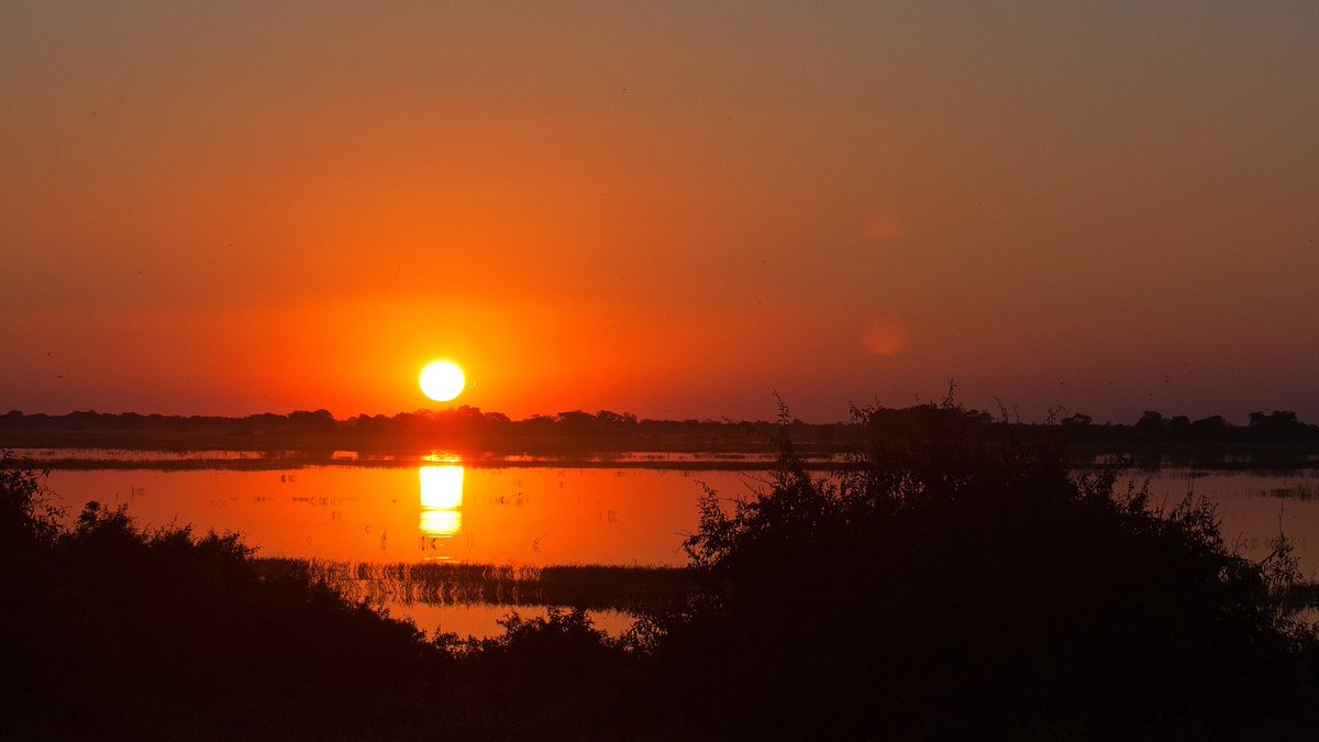 For #StressRelief: imagine that you're looking out your living room window and this is what you see. #WritingCommunity