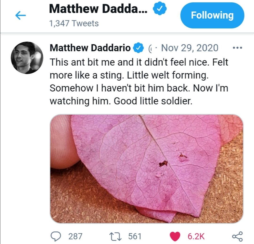 I_Am_Arahuz's tweet photo. Was scrolling through @MatthewDaddario few last tweets and come across this again. Reminded me that last weekend he had "Antbutt" as his screenname for the Trivia Challenge (and he lost 🤪🤪). #FunnyMemory https://t.co/iW3AsbVXCI