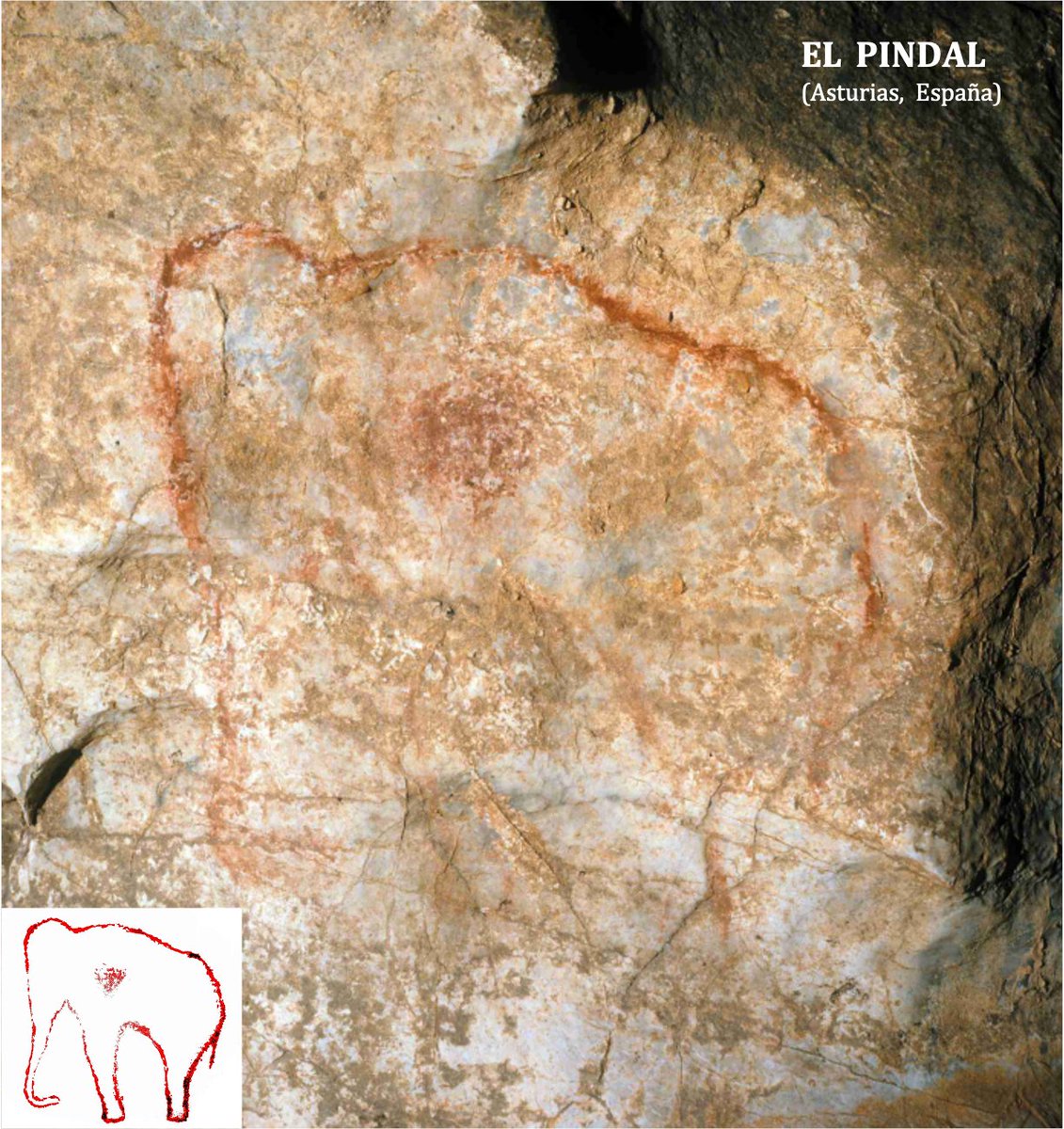 Al contrario que en Francia, en la península ibérica los mamuts son muy escasos , tanto que pueden contarse con los dedos de ambas manos , con un total hasta el momento de 7 mamuts (seguros) localizados en El Castillo, El Pindal, Las Caldas, Arco B y Los Casares 