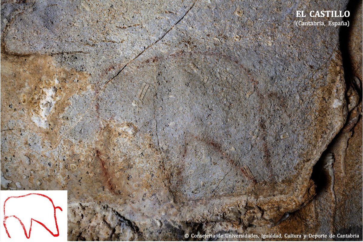Al contrario que en Francia, en la península ibérica los mamuts son muy escasos , tanto que pueden contarse con los dedos de ambas manos , con un total hasta el momento de 7 mamuts (seguros) localizados en El Castillo, El Pindal, Las Caldas, Arco B y Los Casares 