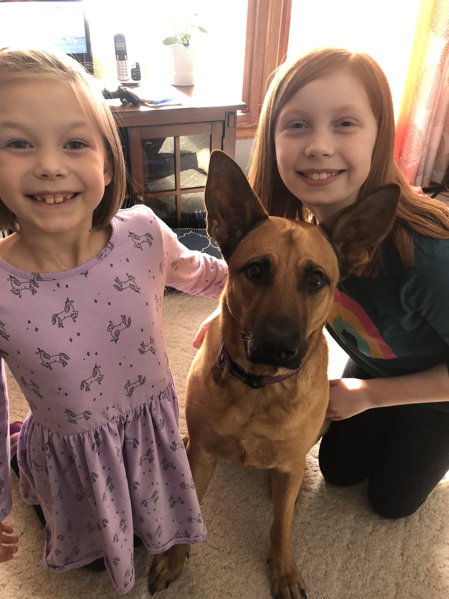 bethfrenchick's tweet photo. @AnimalPlanet @BISSELLclean We #voteJett Jett is MVP for all of 2021! https://t.co/yy4X9yPUpa