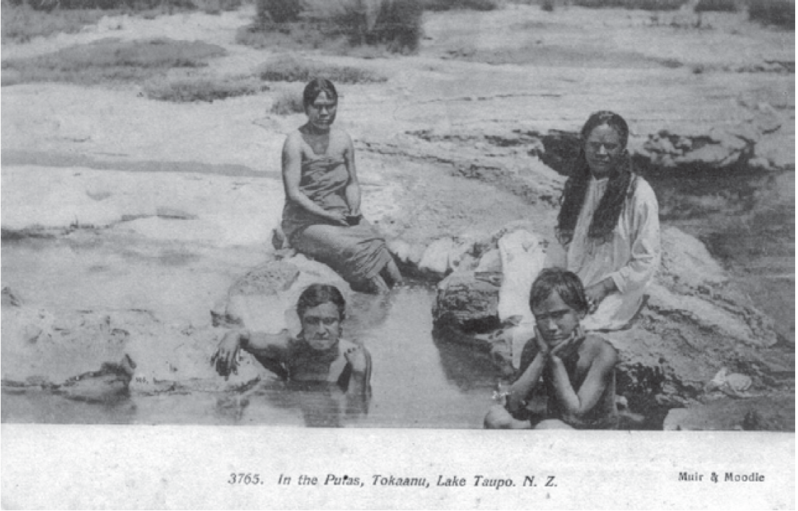 5/"Lifting their heads above the earth's surface in search of their brother, the sisters left behind geysers, hot pools, and volcanoes throughout the Bay of Plenty."