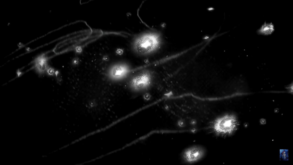 Toujours pas convaincu ? Ahah c’est que vous êtes assez difficile à convaincre, dans ce cas allez matter l’ending 1 de SNK qui se concentre exclusivement sur Mikasa.