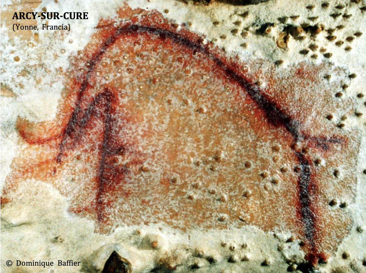 En cuevas premagdalenienses como Arcy-sur-Cure, Chauvet o Baume-Latrone encontramos mamuts “histriónicos” o caricaturescos  como estos que os mostramos a continuación :