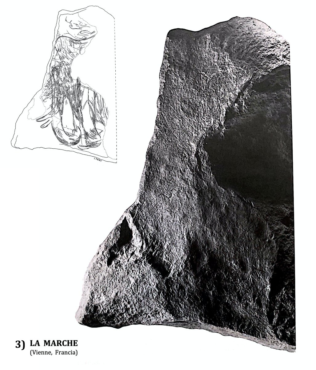¡Ahora es tu turno! Cada miembro del Labtec ha seleccionado su mamut favorito, ¿cuál prefieres tú? También puedes dejarnos qué otros ejemplares son vuestros preferidos  