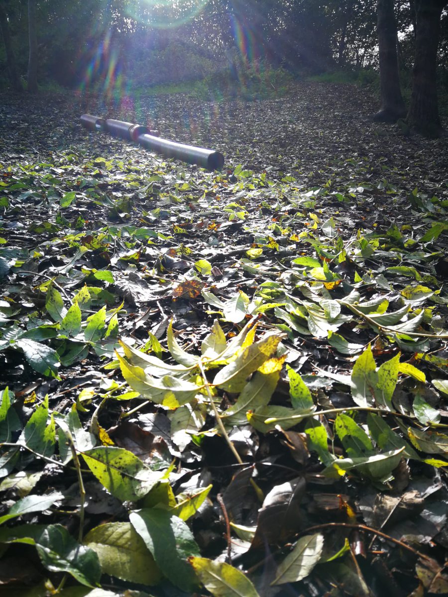 We have some exciting news for all ASN families in East Ren. Please read this thread👇🏻 and get in touch as soon as possible to secure your *FREE* place. We are SO excited! 😊 #eastrenfrewshire <a href="/WhatsOnEastRen/">What's On East Renfrewshire</a> @ERFamilyForum <a href="/ActiveSchoolsER/">Active Schools East Renfrewshire</a> @EastRenEPS