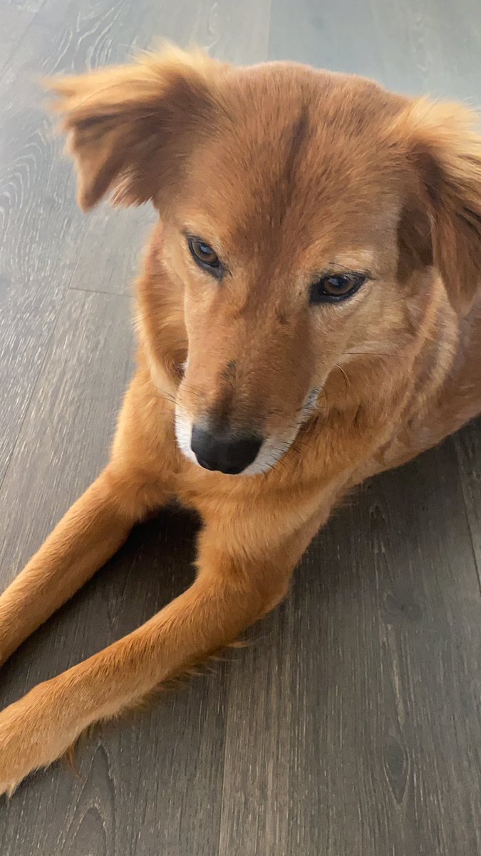 BabyFNelsonPSN's tweet image. Boomer thanks everyone for the treats and the awesome stream last night! Great job #XBOX and the #Deepstonecrypt Team! Enjoy family time today and remember to tell them you love them! ❤️